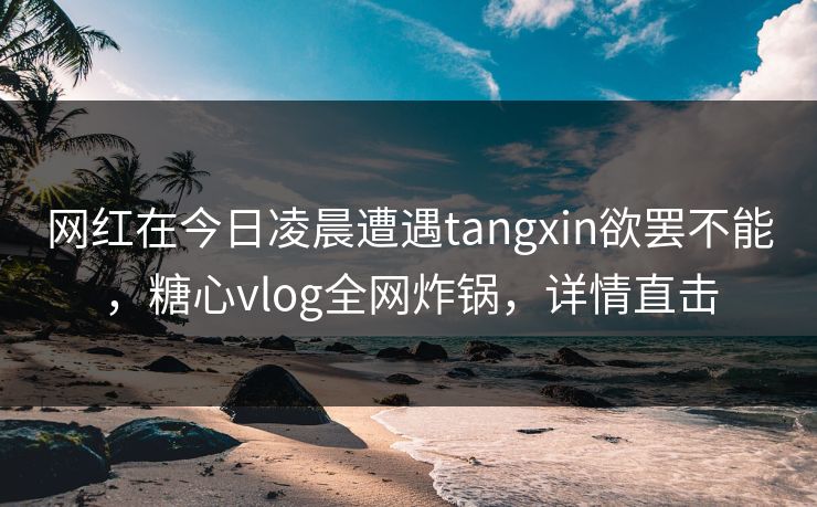 网红在今日凌晨遭遇tangxin欲罢不能,糖心vlog全网炸锅,详情直击