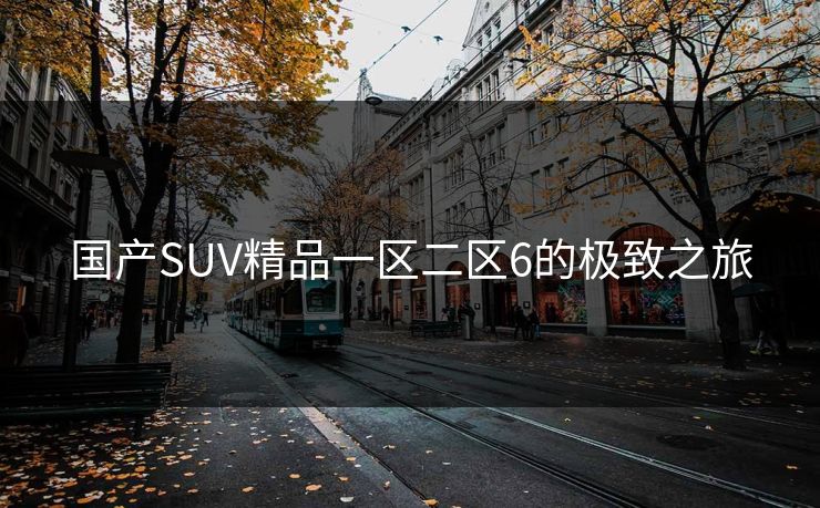 国产SUV精品一区二区6的极致之旅
